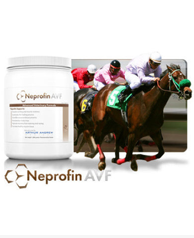 Neprofin