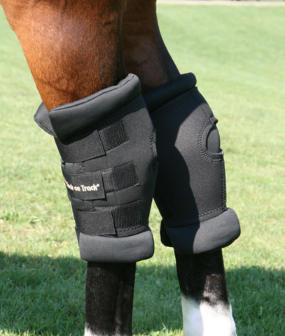 Royal Padded Hock Boots