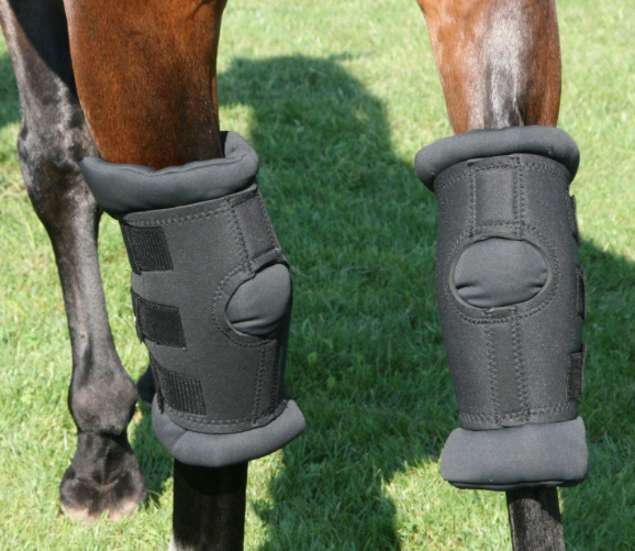 Royal Padded Hock Boots Chasing Time Tack Apparel