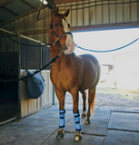 EquiCool Leg Wraps