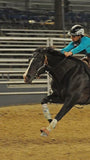 No Hit Bit Short Shank
