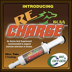 Re Charge Paste
