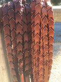 3/4” Laced Adjustable Rein